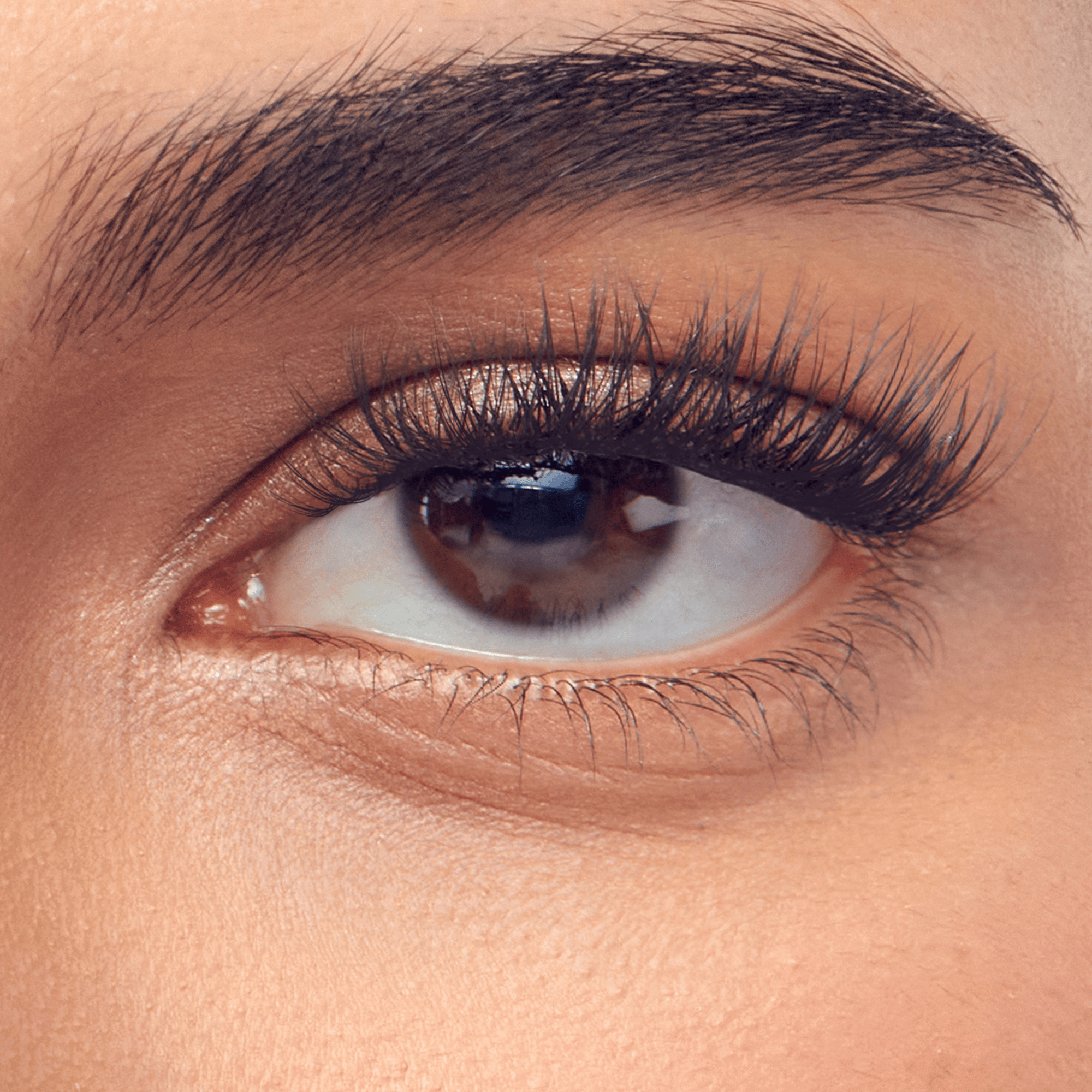 imPRESS Falsies Pre-Glued Individual Lashes Kit - Image 4