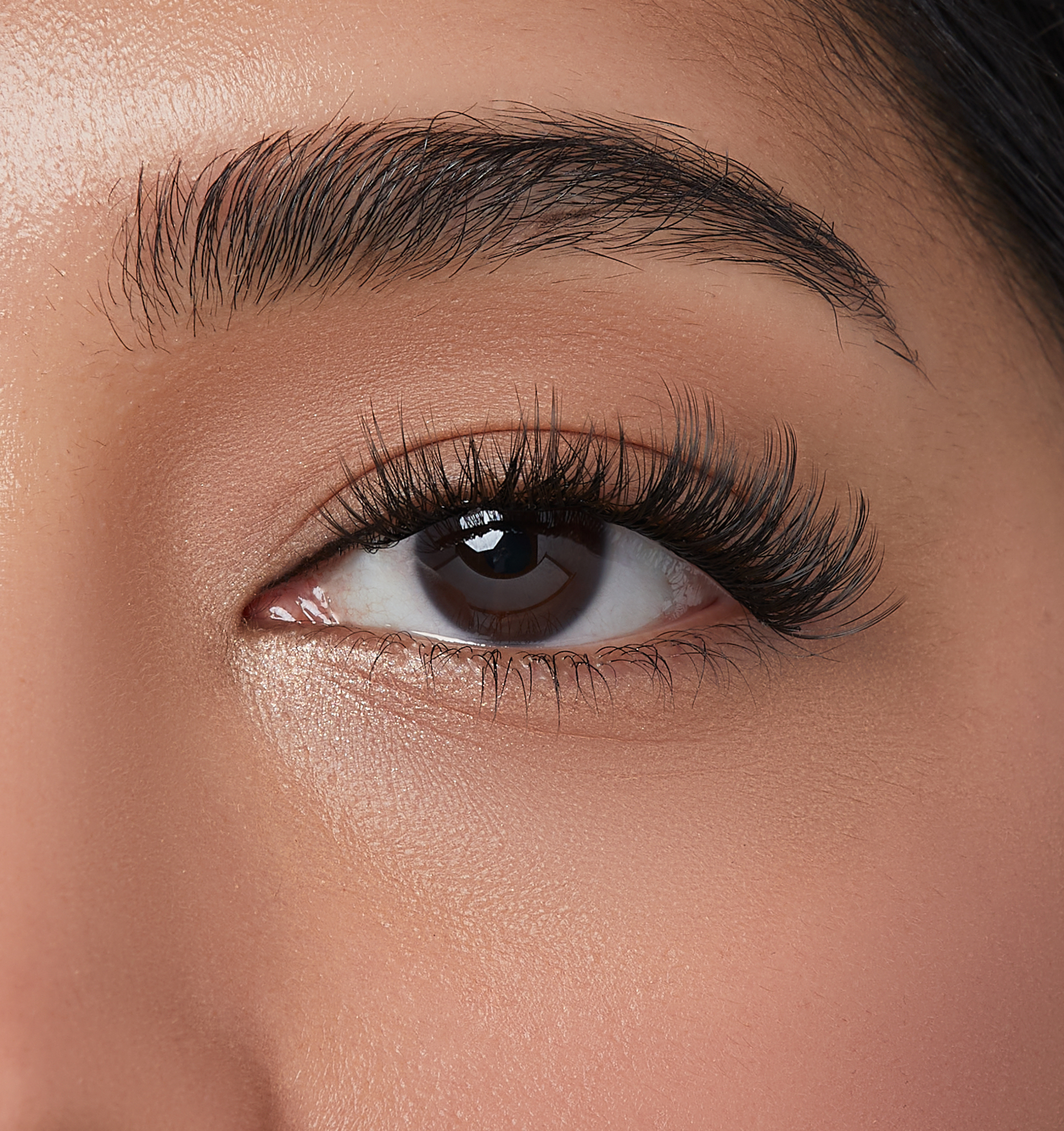 imPRESS Falsies Self Adhesive Eyelashes, 12 Lash Clusters + Applicator – Lavish - Image 3