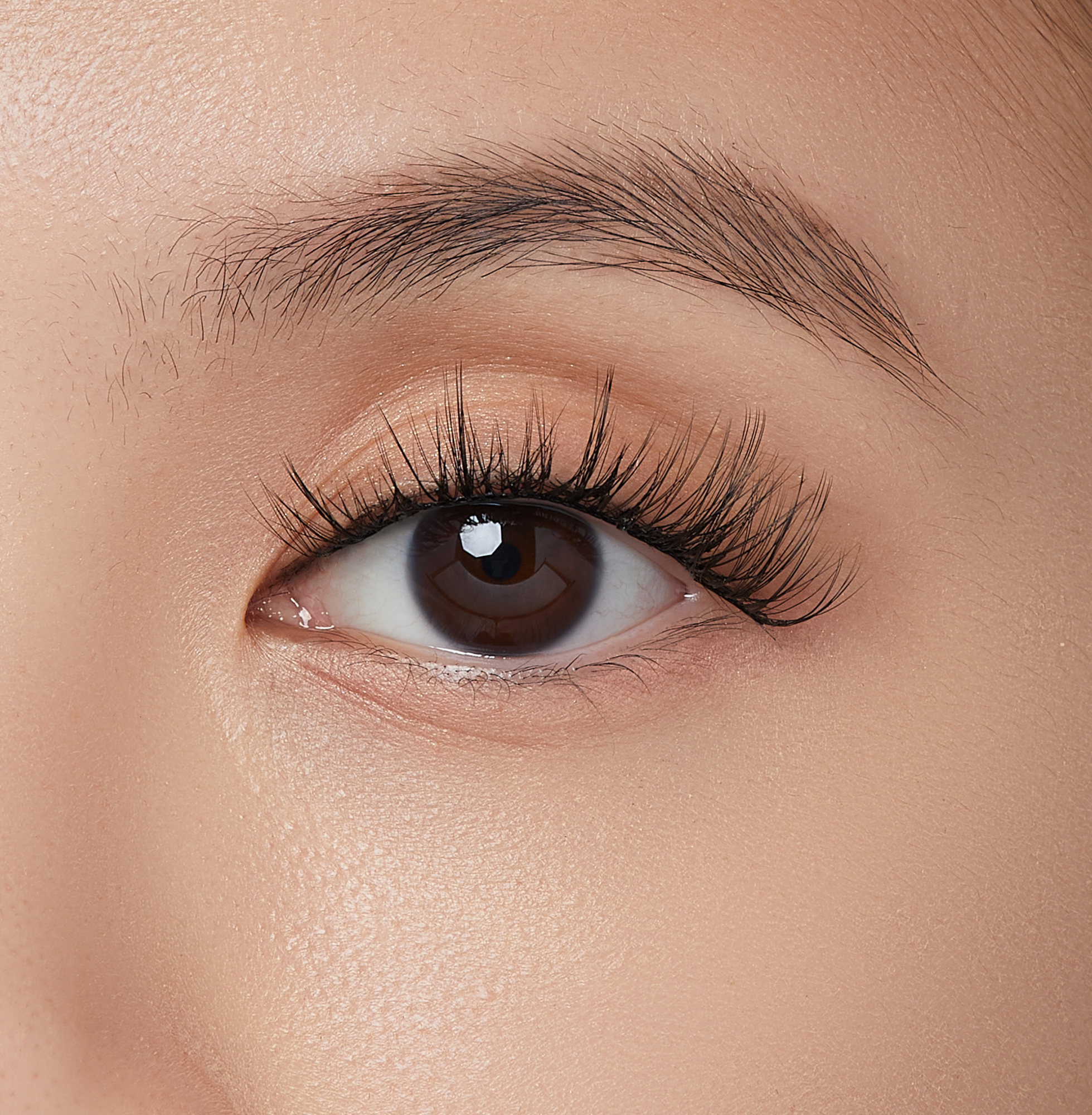 imPRESS Falsies Self Adhesive Eyelashes, 12 Lash Clusters - Modern - Image 3